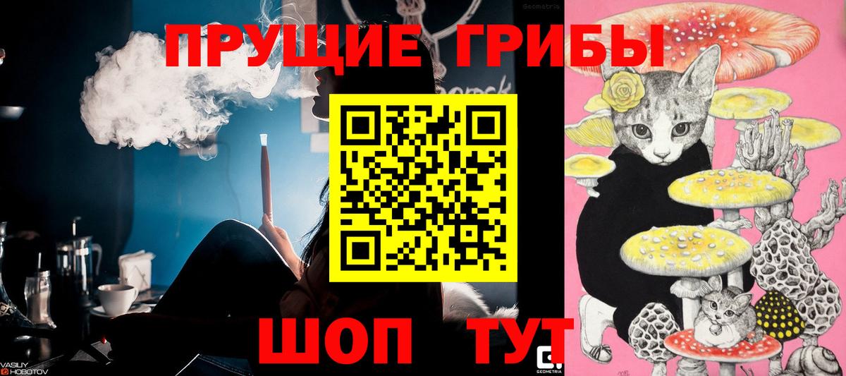 Галлюциногенные грибы Cubensis Острогожск